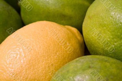 fresh fruit