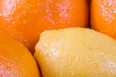 fresh fruit