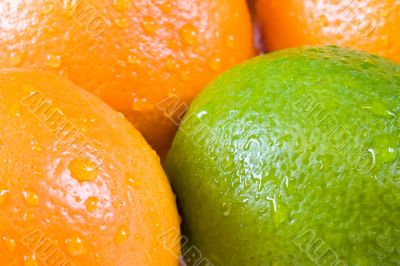 fresh fruit