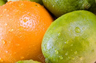 fresh fruit