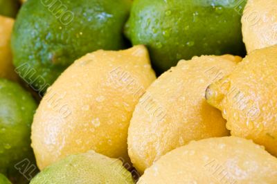 fresh fruit