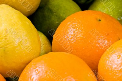 fresh fruit