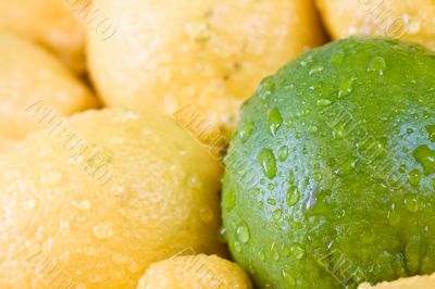 fresh fruit