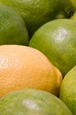 fresh fruit