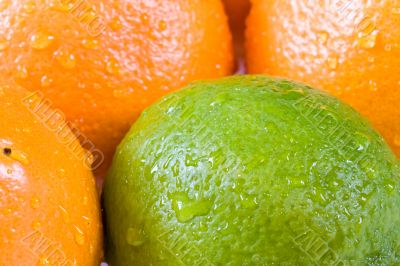 fresh fruit