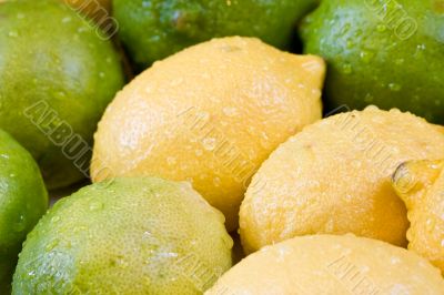 fresh fruit