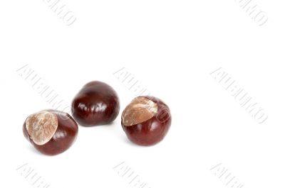 Three chestnuts on a white.