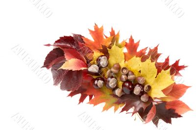 Autumn still life.