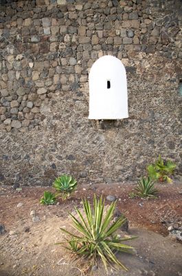 white sentry box and plants