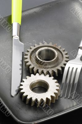 gearwheels on a plate