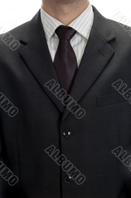 chest view of businessman