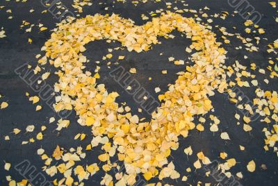 Heart on the road