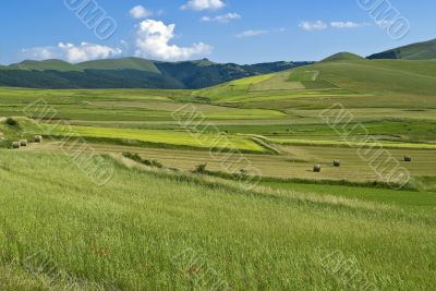 Landscape of Piana di Castelluccio