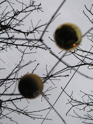 gold christmas balls in a tree