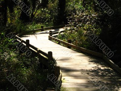 Boardwalk in Florida