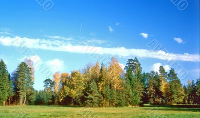 Autumn landscape in nice day