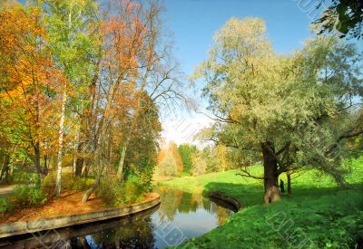 Autumn trees near the river