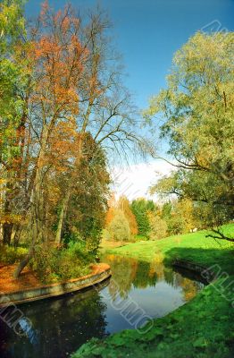 Autumn trees near the river vertical