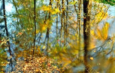 Fall and reflections