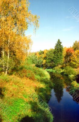 Splendor of autumn nature