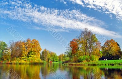 Picturesque autumn trees at the lake