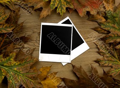 Polaroid frames over autumn background