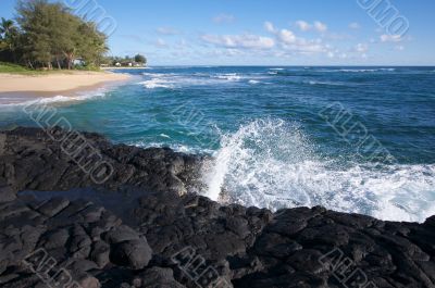 Tropical Shoreline