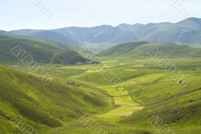 Landscape of the Piana di Castelluccio