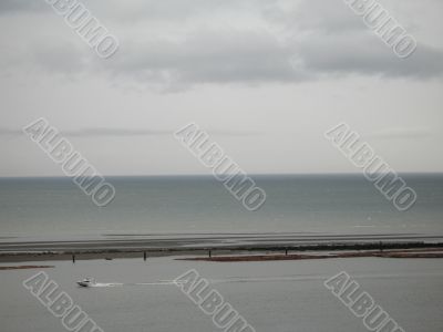 grey ocean with logs