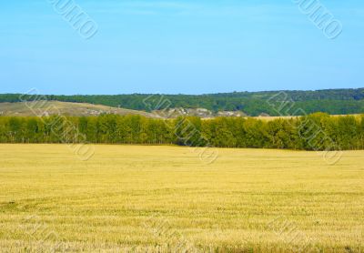 Autumn landscape