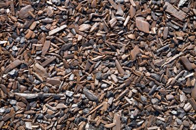 Rotten chips on coast of lake