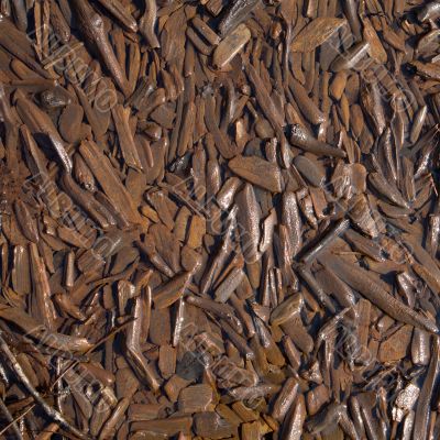 Rotten chips on coast of lake