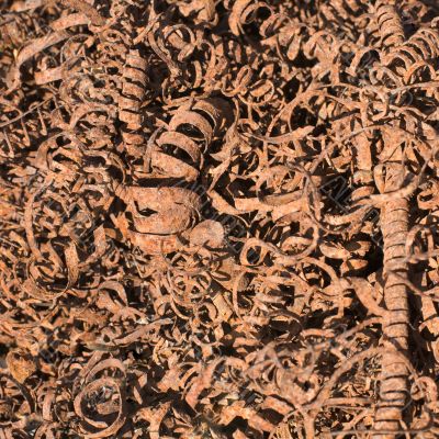 Rusty shavings