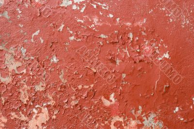 The painted old wall