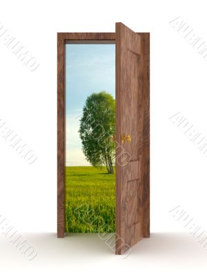 Landscape behind the open door. 3D image