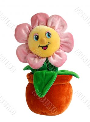 flower toy on the white background
