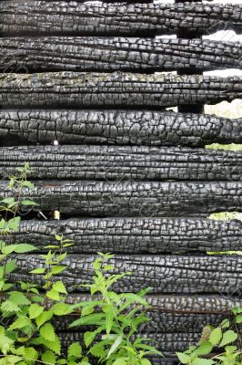 The old charred wall