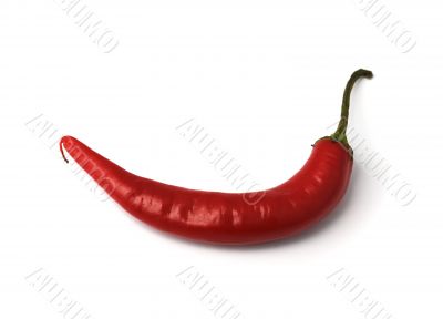 Red pepper