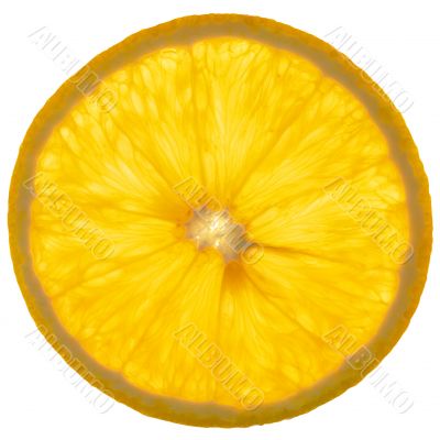 Slice of an orange