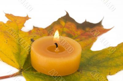 autumn