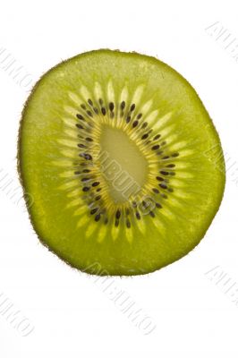 kiwi slice