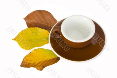 espresso cup