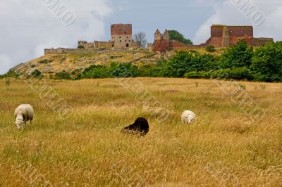Hammershus, ruins of a castle in Bornholm, Denmark