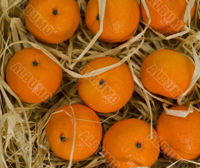 tangerines in straw