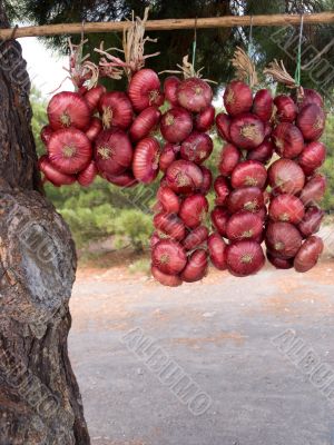 red onions