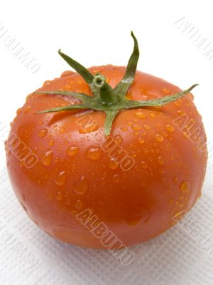 fresh ripe single tomato