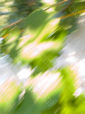 Abstract vegetative background from green leaves