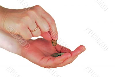  womanish hand holds a coins