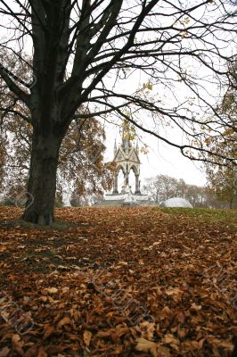 autumn in the park