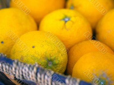 oranges